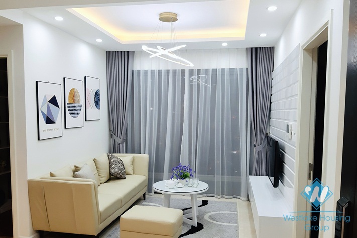A brand new 2 bedroom apartment for rent in Dcapitale Cau giay, Ha noi